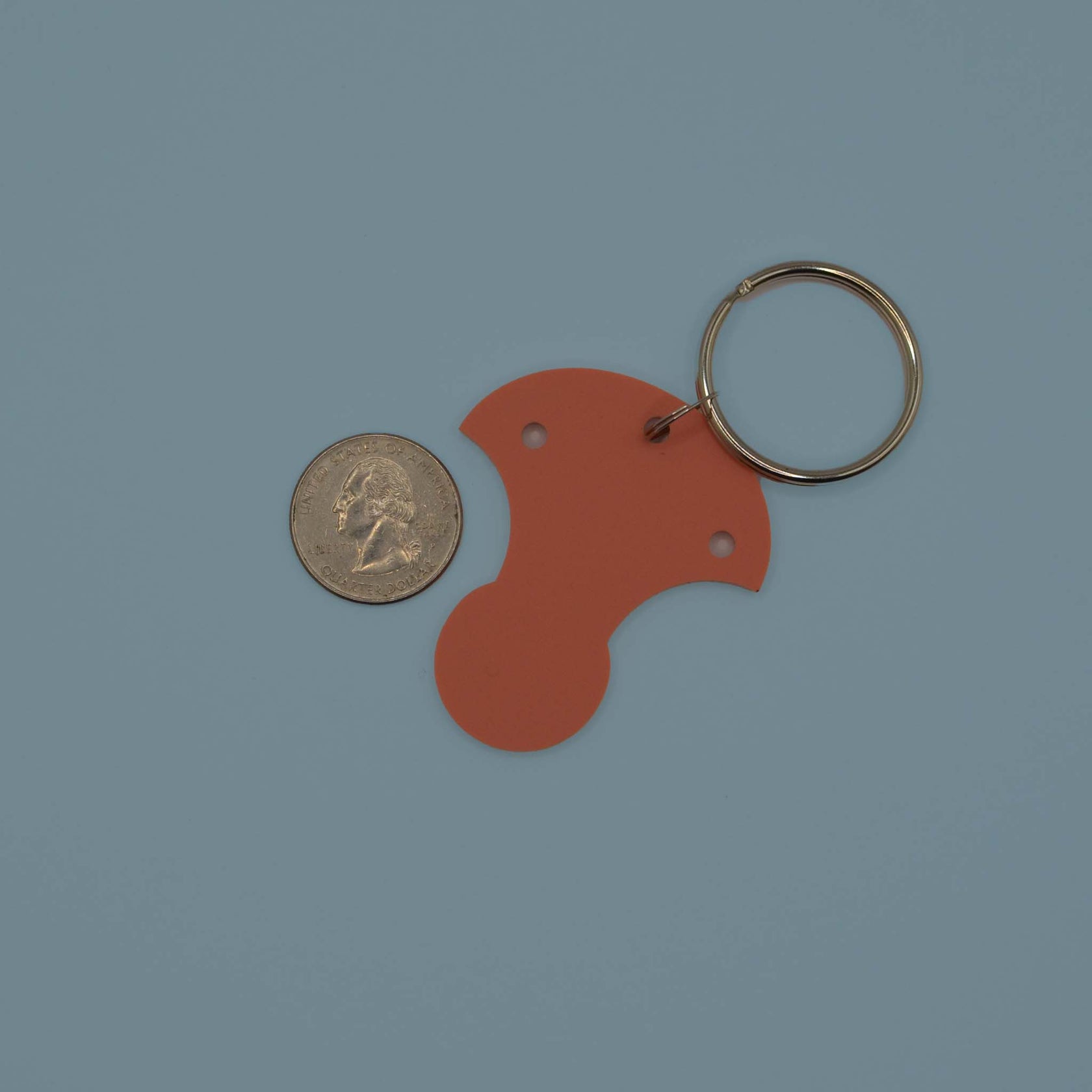 Quarter Saver Keychain