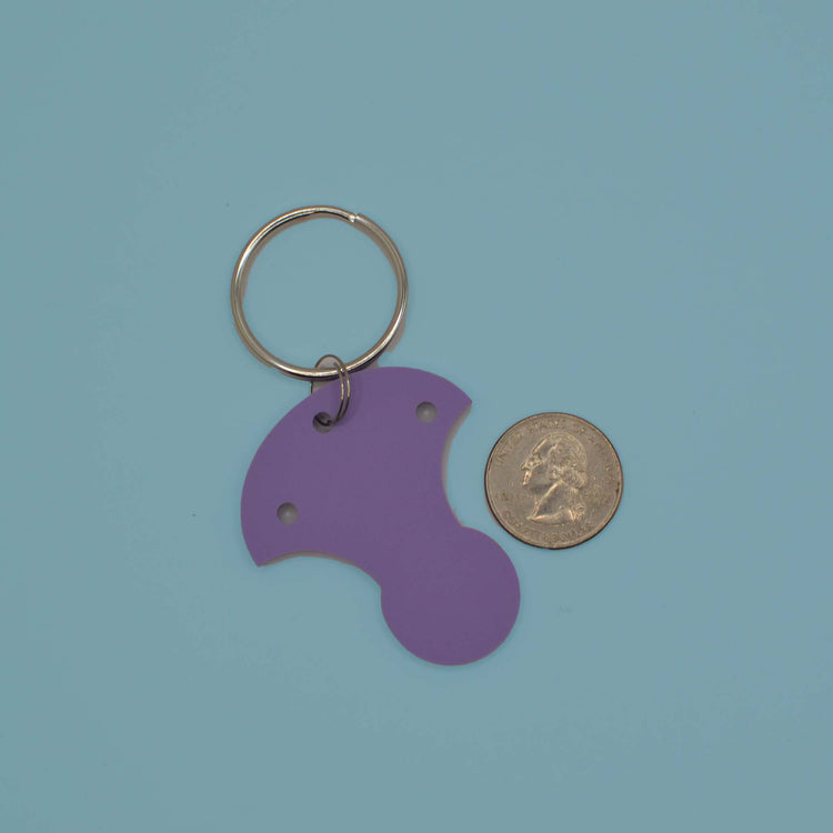 Quarter Saver Keychain